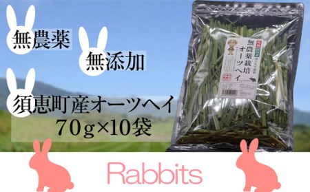 ペットフード うさぎ用 特選オーツヘイ 計700g | ペットフード
