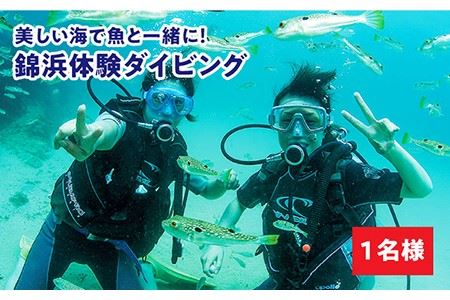 ダイビング  体験  錦浜 《壱岐市》【シーガルイン】[JAB002] 旅行 海 アウトドア ダイビング 33000 33000円