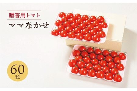 贈答用トマト ママなかせ（ギフトボックス） 約2kg 60粒  《壱岐市》【壱岐の潮風】[JAE004]