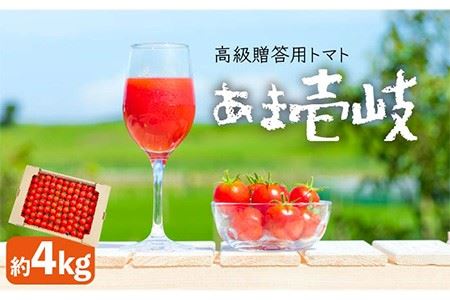 ミディトマト  約4kg 高級贈答用「あま壱岐」  [JAE005] 野菜 ギフト プレゼント 贈り物 28000 28000円