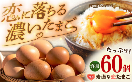 【特選卵】素直な恋たまご 60個 [JAP001]