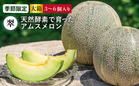 【先行予約】メロン 大箱 3～6個 [JAZ005] アムスメロン