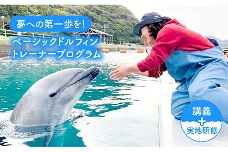 ベーシック・ドルフィントレーナー・プログラム 《壱岐市》【壱岐イルカパーク＆リゾート】[JBF003] 220000 220000円 22万円 体験