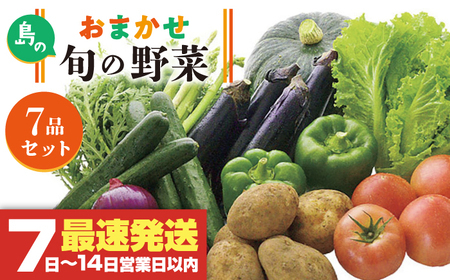 旬のお野菜7品セット《壱岐市》【壱岐市農業協同組合】[JBO001] 野菜 10000円
