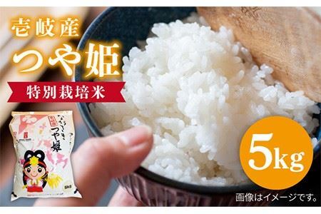 【R7年度産米】壱岐産 つや姫 5kg[JBO024] 米 お米