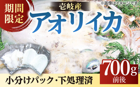 アオリイカ（処理済み） 700g前後 《壱岐市》[JCG018]