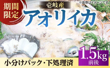 アオリイカ（水イカ）1,500g前後 [JCG019] イカ 刺身