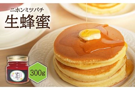 【先行予約】ニホンミツバチ 生蜂蜜 300g【2026年6月中旬以降順次発送】《壱岐市》【憲ちゃんハチミツ】[JCL002] はちみつ ハチミツ 蜂蜜 日本蜜蜂 国産 非加熱 17000 17000円