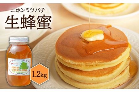 【先行予約】ニホンミツバチ 生蜂蜜 1,200g×1 【2026年6月中旬以降順次発送】《壱岐市》【憲ちゃんハチミツ】[JCL003] ハチミツ 蜂蜜 日本蜜蜂 58000 58000円