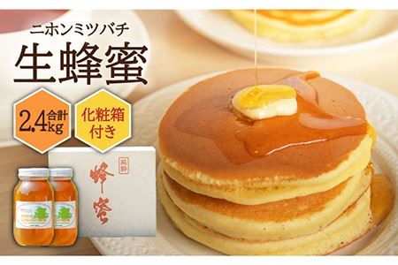 【先行予約】 ニホンミツバチ 生蜂蜜 1,200×2（化粧箱付き） 【2026年6月中旬以降順次発送】《壱岐市》【憲ちゃんハチミツ】[JCL008]  ハチミツ 蜂蜜 日本蜜蜂 ギフト プレゼント 贈り物 化粧箱  100000 100000円 10万円