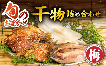 旬の干物 おまかせ詰め合わせ《梅》（アジ・イワシ・イカなど）[JDR001]