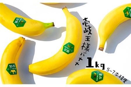 壱岐王様バナナ 1kg（5-7本程度） [JEL001] ばなな