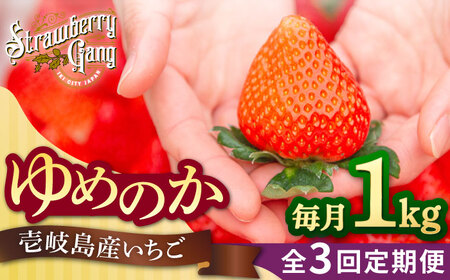【先行予約】【全3回定期便】ゆめのか 1kg （約250g×4パック）【2027年1月以降順次発送】[JEM002] いちご 苺