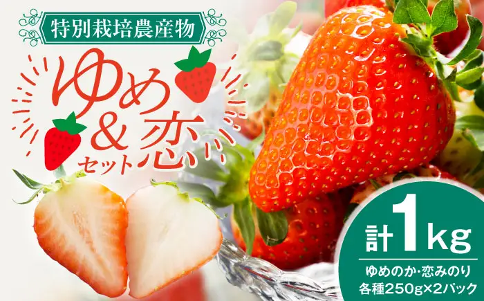 いちごセット（ゆめのか・恋みのり） [JEO001] 