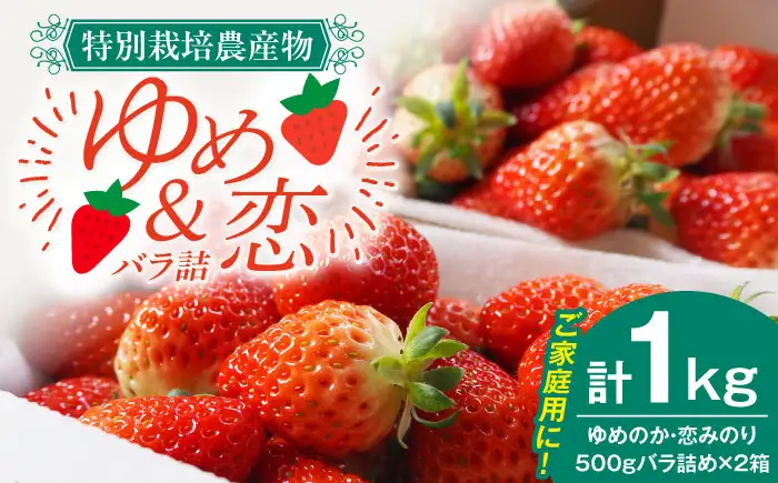 苺ω・)様用 家庭用 いちご 1kg（ゆめのか/恋みのり） [JEO002] イチゴ 苺 | 長崎県