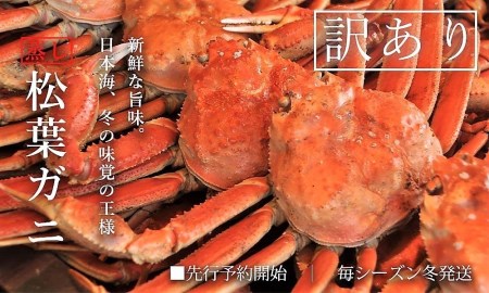 訳あり足折れ松葉ガニ 約3枚 計1kg前後 蒸し ずわいがに 訳アリ かに 鳥取 TM16 0726