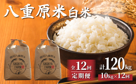 【寄附額改訂↓】令和8年新米予約【12回定期便】東御市産 八重原米10kg（5kg×2袋）合計120kg 白米 ※2026年10月以降順次発送｜笹屋農園「農薬削減長野県認証取得」先行予約 お米