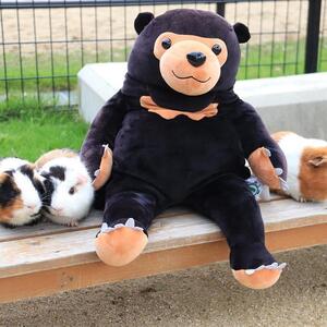 周南のほほんマレーグマ ぬいぐるみ くま 動物