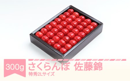 先行予約 さくらんぼ 佐藤錦 令和8年産 ns-snt2x300