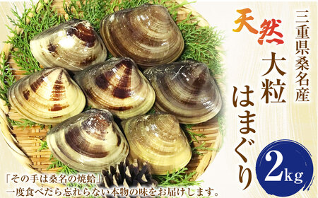 【指定日必須】【配送不可地域有】マルヨシ水産 桑名産大粒天然蛤 2kg（約15～20個）はまぐり ハマグリ 魚介 貝 魚貝 活はまぐり 焼きはま 海鮮 網焼き 酒蒸し お吸い物 パエリア パスタ