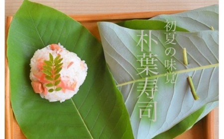 先行予約 【期間限定】「朴葉寿司」（2026年6月頃から順次発送）10個セット【24-2】