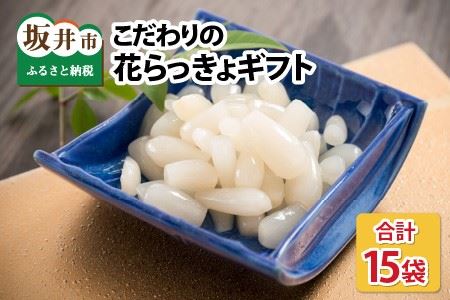 『こだわりの三年掘り栽培』 福井特産 三年子花らっきょギフト 【甘酢 漬け 国産 漬け物 お漬物 ラッキョウ らっきょう】 [B-0701]