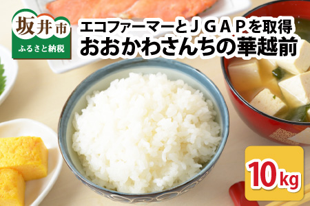 【令和7年産】 おおかわさんちの華越前 10kg 精米 [B-10803]