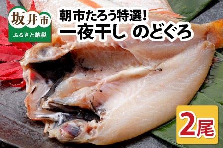 朝市たろう特選！一夜干し のどぐろ 2尾！！ [A-12305]