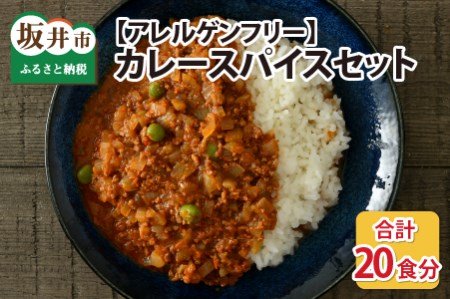 ハーブ講師が作る教室で人気のカレースパイスセット （5食分 × 4箱）【アレルゲンフリー】 【スパイス スパイスカレー スパイスセット カレーパウダー おうちカレー カレー粉 香辛料 セット 手作り キット 薬膳カレー スープカレー ギフト】 [A-13012]