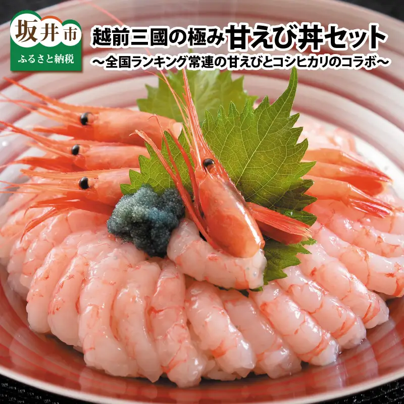 越前三國の極み甘えび丼セット ～全国ランキング常連の甘えびとコシヒカリのコラボ～ [A-2397]