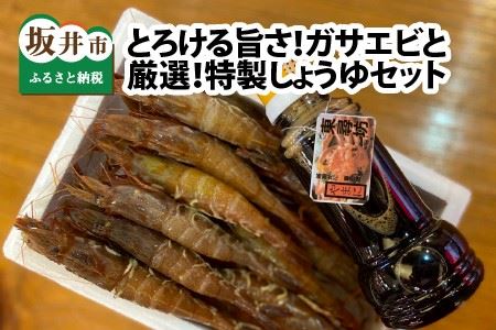 幻の逸品！とろける旨さのガサエビとやまに厳選！特製しょうゆセット [A-4374]