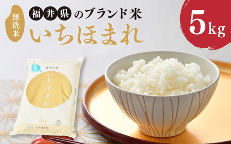 【令和7年産】福井県のブランド米 いちほまれ5kg 無洗米 【 人気 品種 ブランド米 特A 】 [A-6117]