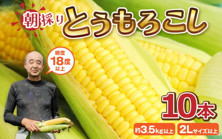 【先行予約】朝取れ とうもろこし 10本 (1本：2Lサイズ以上 370g～450g) ～驚きの糖度18度以上！～ (わくわくコーン) 【2026年6月上旬以降順次発送】  [A-7102] とうもろこし とうもろこし とうもろこし とうもろこし