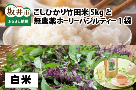 【先行予約・令和8年産新米】福井県産 清流こしひかり 竹田米 5kg と 竹田産無農薬ホーリーバジルティー（白米）【2026年9月下旬以降順次発送予定】 [A-7422_01]
