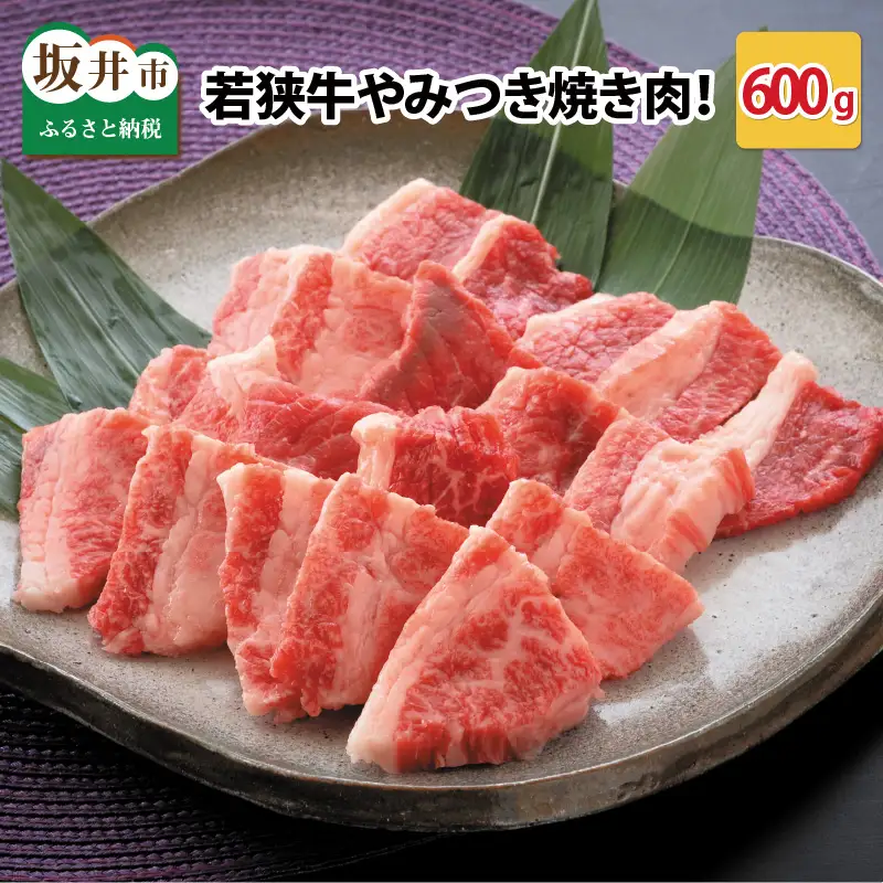 若狭牛やみつき焼肉 600g スタミナUP！健康長寿！【B-2202】