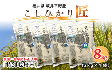 【令和7年産】特別栽培米 コシヒカリ匠 8kg (2kg × 4袋)（白米） 栽培期間中農薬不使用 / コシヒカリ こしひかり 白米 お米 [D-2938_01]