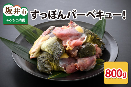 キャンプにバーベキューに「すっぽんバーベキュー！」 ワイルドにスッポンを食べてみませんか？ [C-6401]