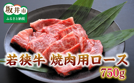 とろける若狭牛ロース 750g  [E-2102]