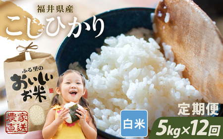 【先行予約】【令和8年産・新米】【農家直送定期便 12ヶ月コース】【白米】 本原農園のまごころコメた 福井県産 コシヒカリ 5kg × 12回 計60kg 【2026年10月上旬以降順次発送】 [L-8906_01]