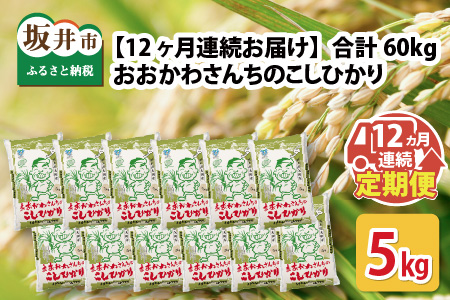 【令和7年産】 【12ヶ月連続お届け定期便】おおかわさんちのコシヒカリ 5kg × 12回 計60kg [L-10801]