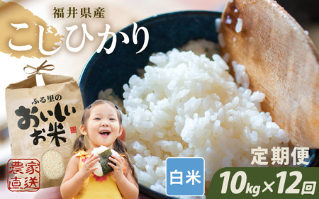 【先行予約】【令和8年産・新米】【農家直送定期便 12ヶ月コース】【白米】 本原農園のまごころコメた 福井県産 コシヒカリ 10kg × 12回 計120kg 【2026年10月上旬以降順次発送】 [O-8908_01]