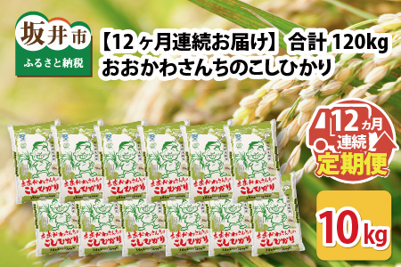 【令和7年産】 【12ヶ月連続お届け定期便】おおかわさんちのコシヒカリ 10kg × 12回 [P-10801]