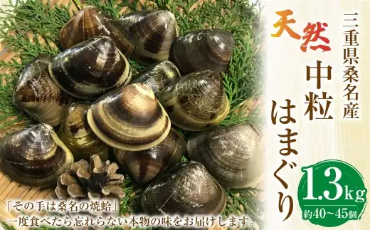 【指定日必須】【配送不可地域有】マルヨシ水産 桑名産中粒天然蛤 1.3kg（約40～45個）はまぐり ハマグリ 魚介 貝 魚貝 活はまぐり 焼きはま 海鮮 網焼き 酒蒸し お吸い物 パエリア パスタ