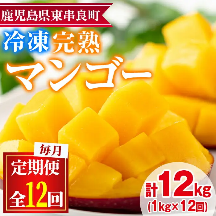 【156951】＜定期便・全12回(連続)＞鹿児島県産！南国の恵み！丸ごと冷凍完熟マンゴー(1kg×12回)果物 フルーツ 果実 冷凍 デザート 国産【甘宮】