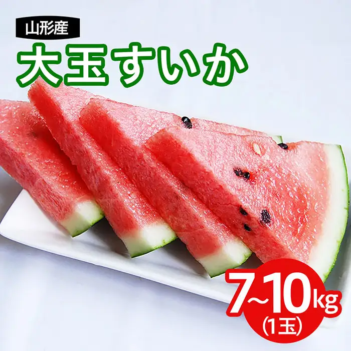  山形産 大玉西瓜(すいか) 1玉入り 【令和8年産先行予約】FS25-594 くだもの 果物 フルーツ 山形 山形県 山形市 2026年産