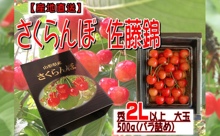 [産地直送] 大玉さくらんぼ 佐藤錦 2L以上 大玉 500g(バラ詰め)【令和8年産先行予約】FU22-122 くだもの 果物 フルーツ 山形 山形県 山形市 2026年産