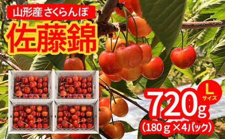山形市産 さくらんぼ 佐藤錦 L以上 720g(180g×4パック) 【令和8年産先行予約】 FS25-531