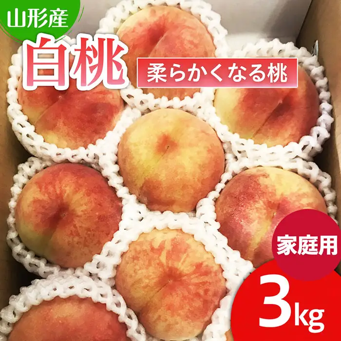  【ご家庭用】山形の桃(白桃) 3kg(6～12玉) 9月発送 (品種おまかせ)[柔らかくなる桃] 【令和8年産先行予約】FU22-782