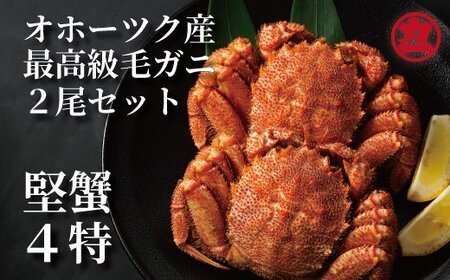 30-139 ボイル毛がに(約440g～570g)×2尾
