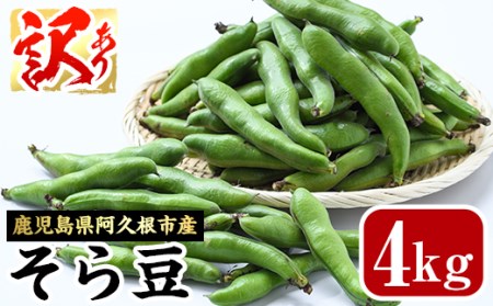 訳あり！鹿児島県阿久根市産そら豆(4kg) 野菜 旬 春野菜 訳アリ 国産 鹿児島県産 阿久根市産 そら豆 ソラマメ おつまみ【黒坂青果】akn049-03